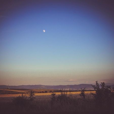 My Lake Glamping Dálnok Kültér fotó