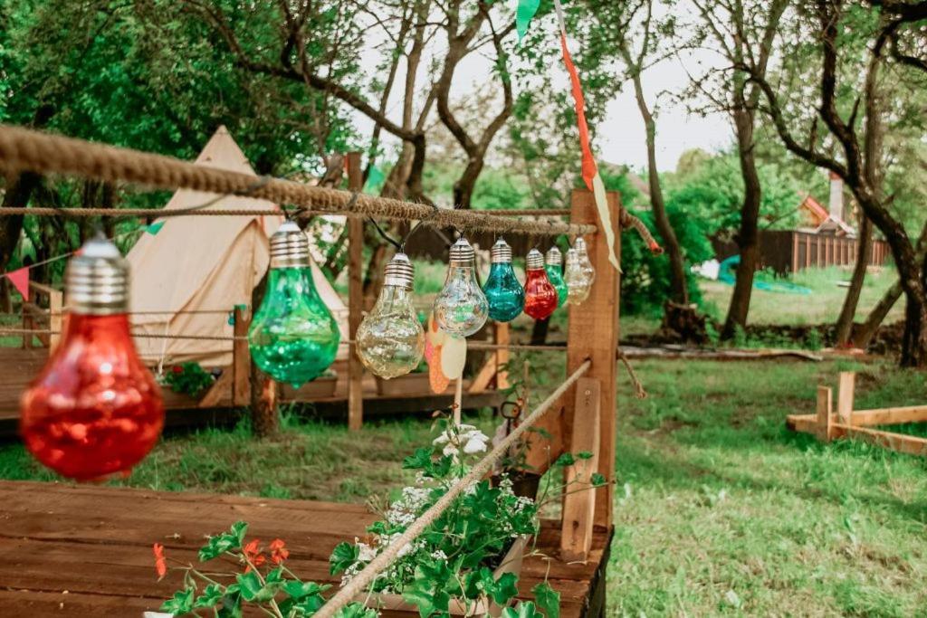 My Lake Glamping Dálnok Kültér fotó