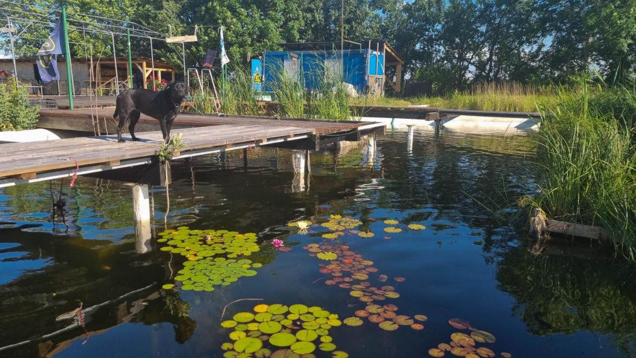 My Lake Glamping Dálnok Kültér fotó
