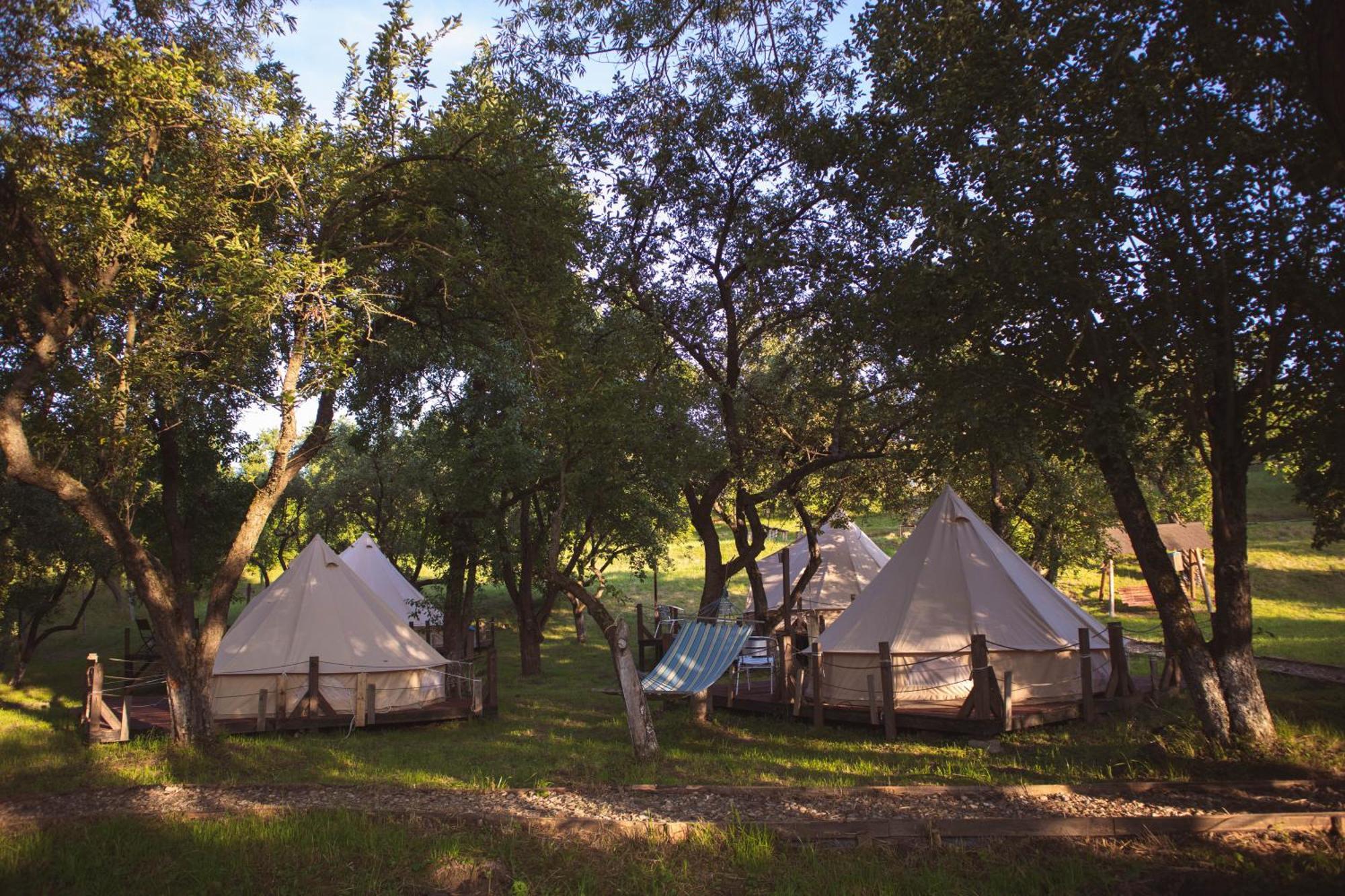 My Lake Glamping Dálnok Kültér fotó