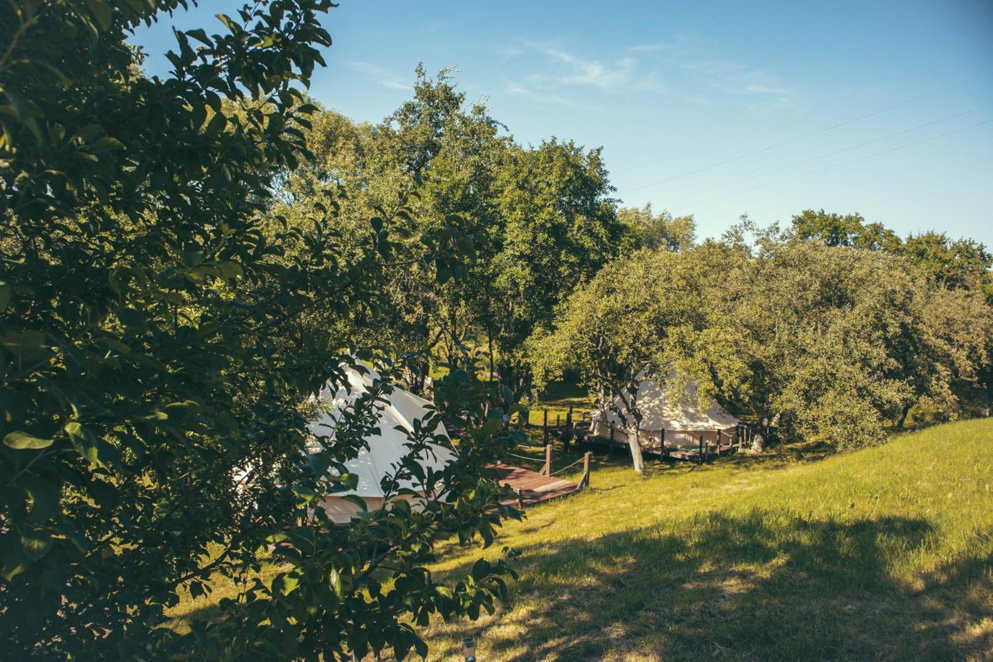 My Lake Glamping Dálnok Kültér fotó