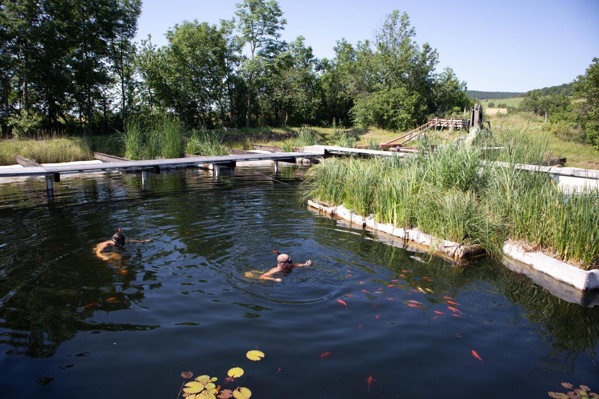 My Lake Glamping Dálnok Kültér fotó