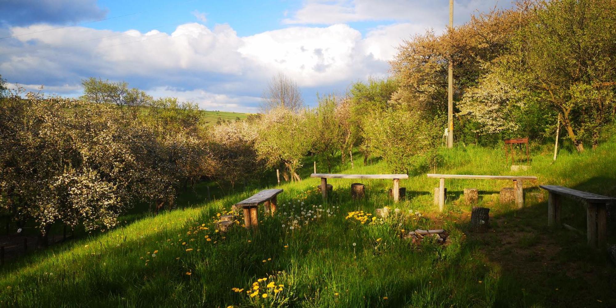 My Lake Glamping Dálnok Kültér fotó
