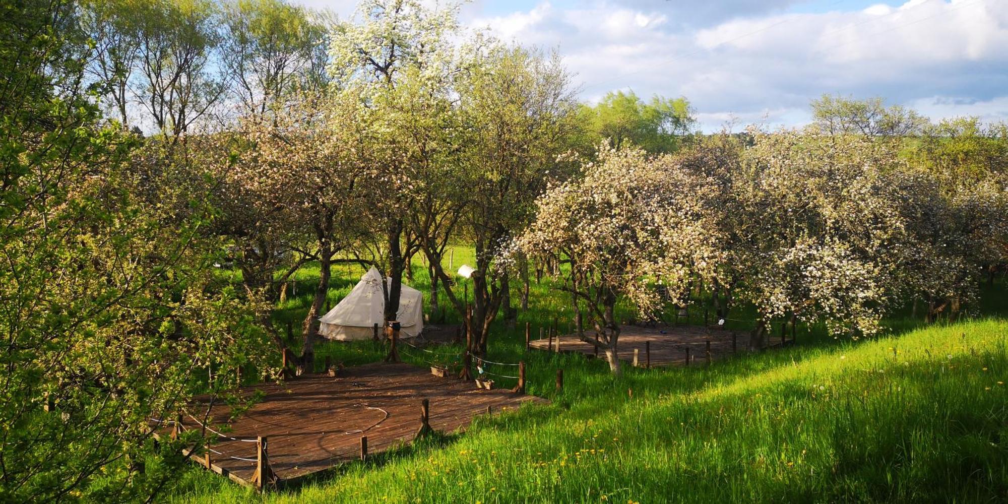 My Lake Glamping Dálnok Kültér fotó