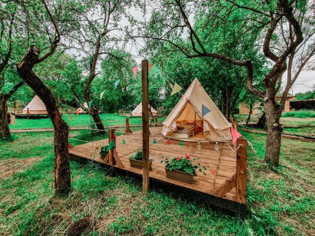 My Lake Glamping Dálnok Kültér fotó